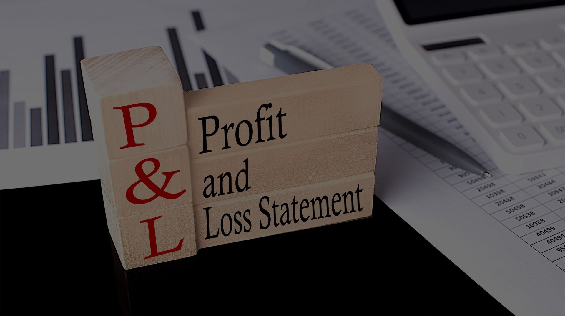 profit & loss mortgage programs, P & L mortgage, p & l mortgage, P & L loans
